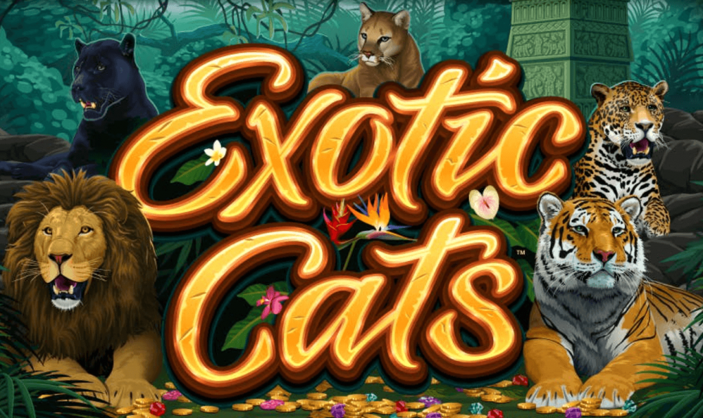 Игровые слоты кэт играть на деньги. Bozo Cats слот. Exotic game. Fortune Tiger Slot. Temple Cats Slot.