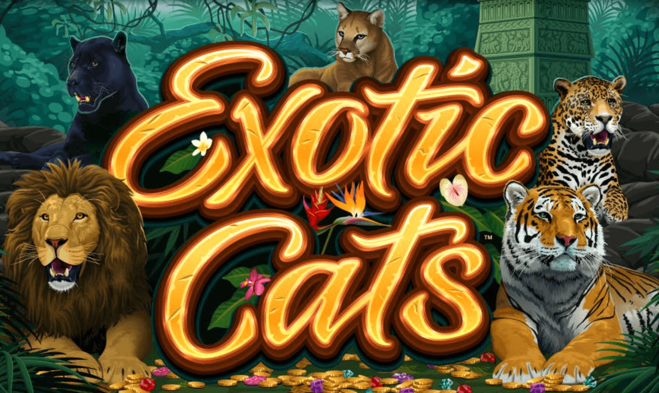 Free online cats slot game